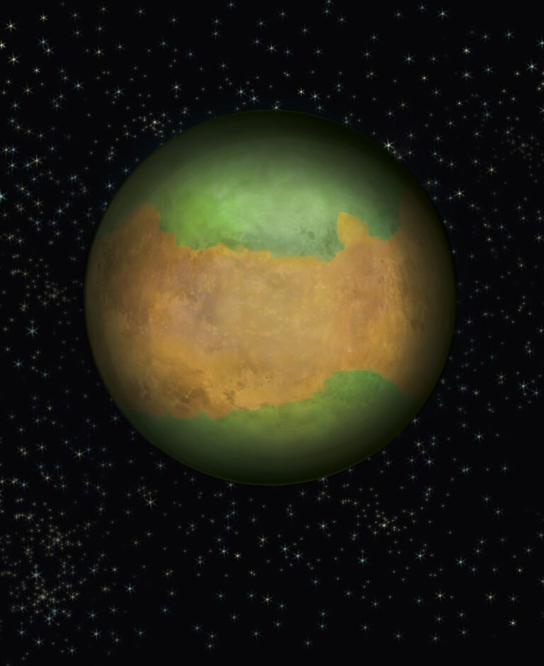 The Tokorel Universe